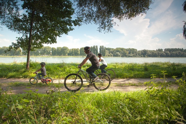 Person cycling on a quiet path near water with trees and soft light